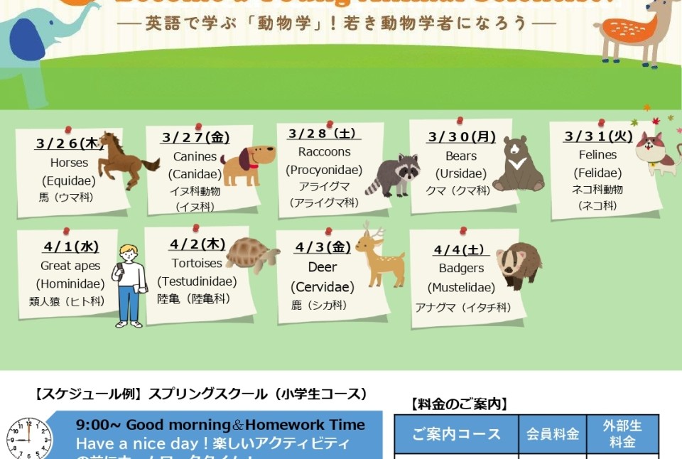 Meiko Kids e 小杉新丸子